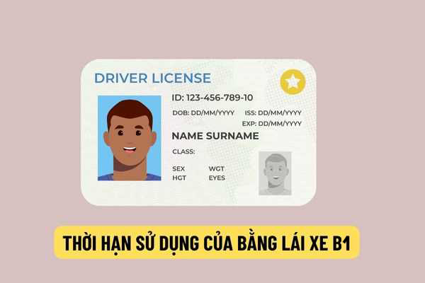 Thời Hạn Sử Dụng GPLX Hạng B1